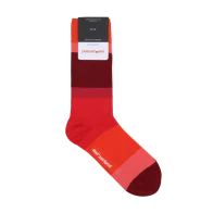 Socks «Horizon»