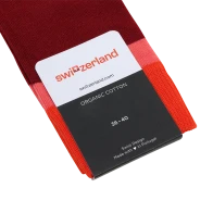 Socks «Horizon»